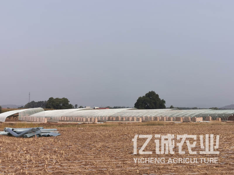 一畝溫室大棚造價(jià)多少錢？溫室建設(shè)成本
