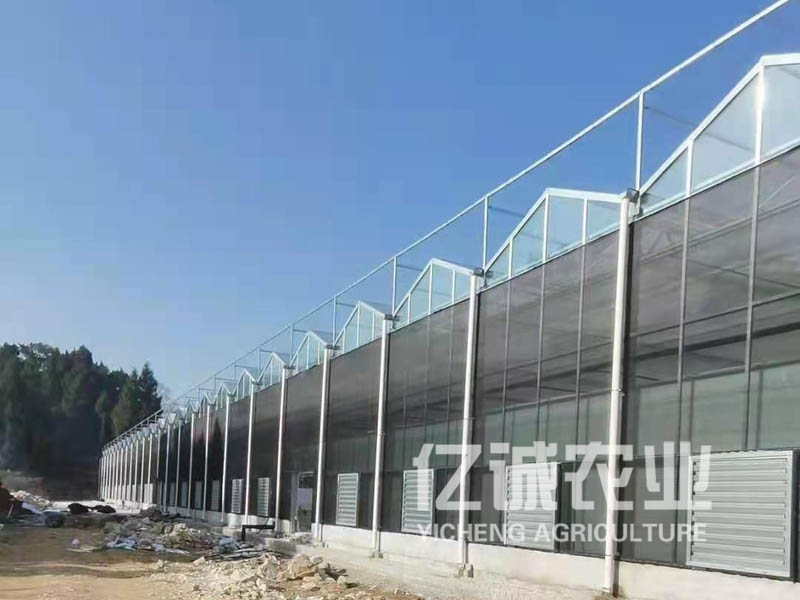 建溫室大棚需要多少錢？連棟溫室工程造價