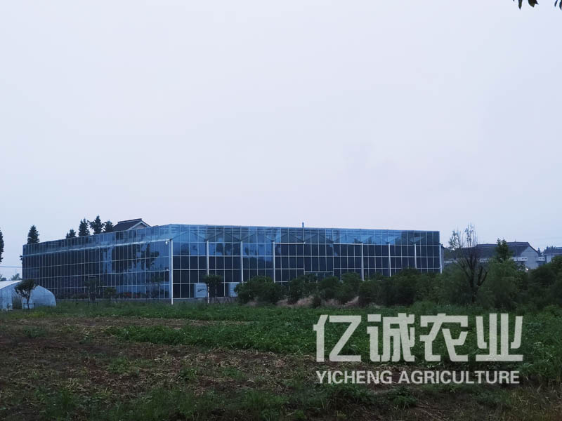 智能溫室大棚遇到大風(fēng)該怎么加固？