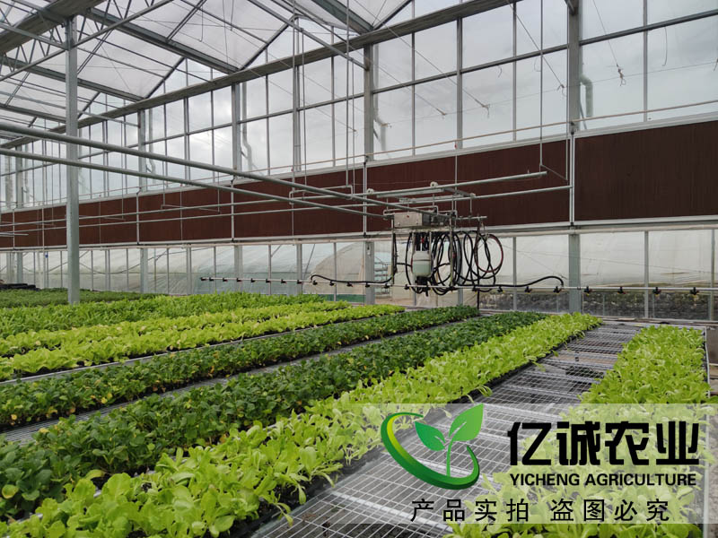 現(xiàn)代化智能溫室大棚如何建造？智能化連棟溫室大棚多少錢(qián)一個(gè)平方？