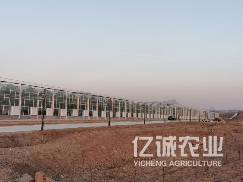 智能連棟玻璃大棚建好后為啥不掙錢？看看你踩了哪些坑？