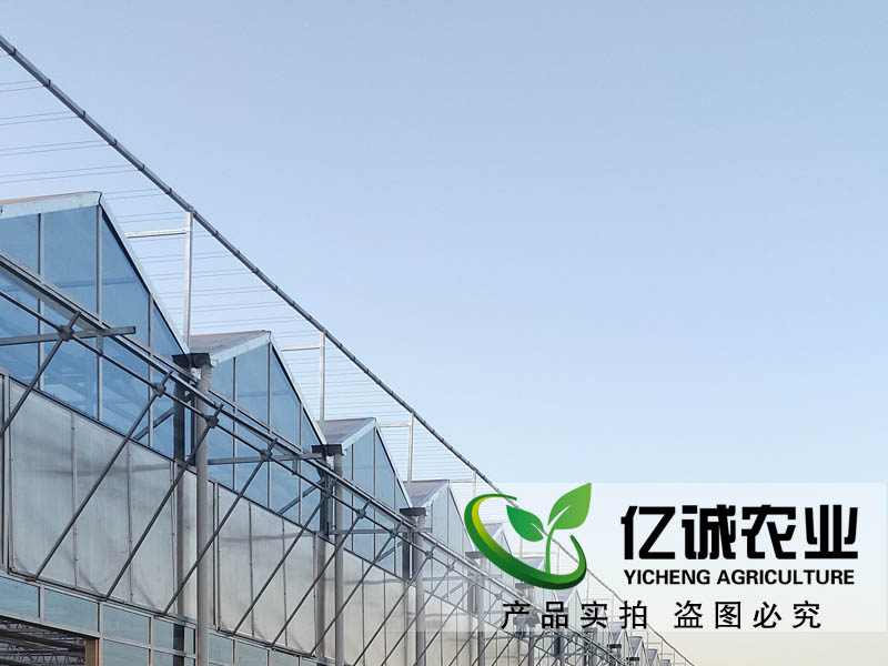 玻璃溫室每平方米報(bào)價(jià)多少？現(xiàn)代化智能溫室大棚造價(jià)？