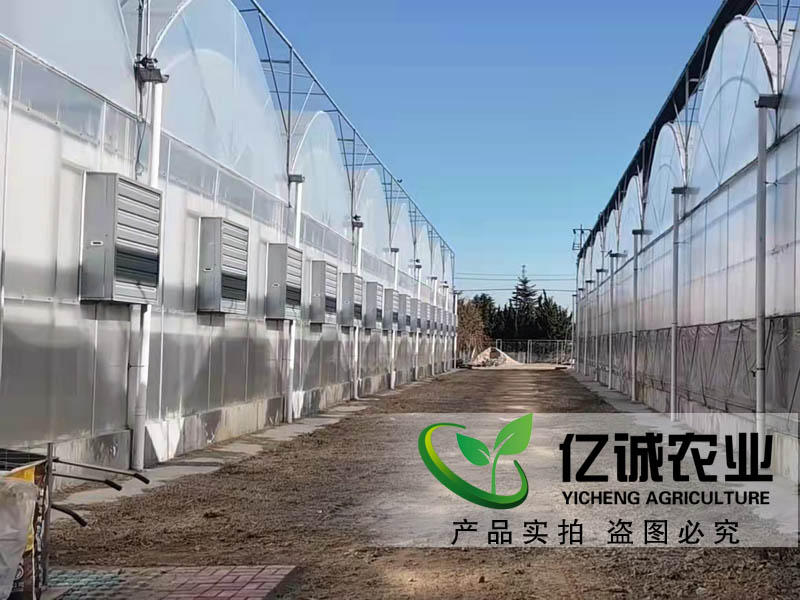 玻璃和薄膜連棟溫室大棚在種植蔬菜前對(duì)土壤有要求嗎？