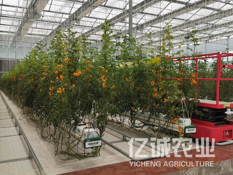 青州溫室大棚建設(shè)哪家好？