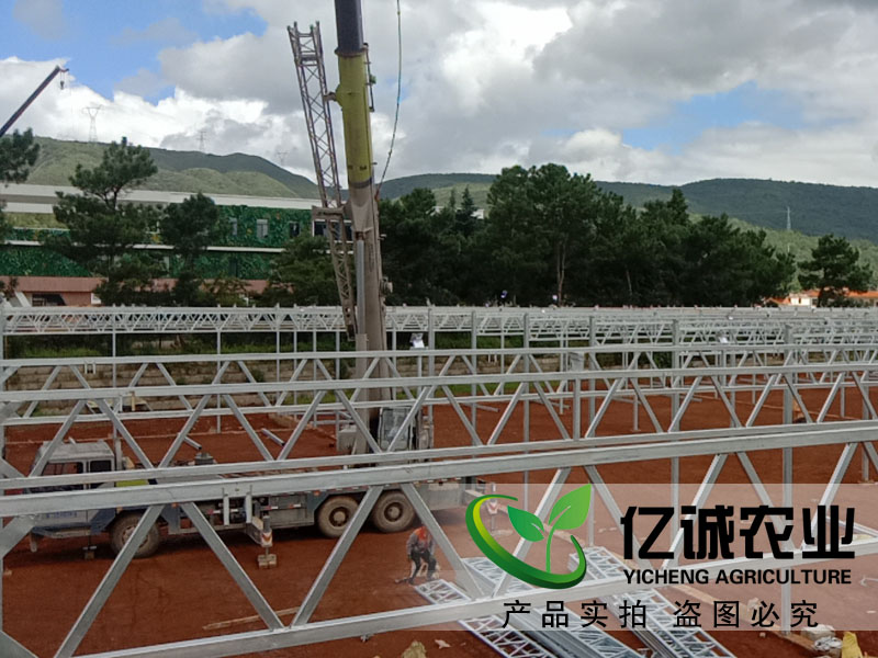 建一畝地溫室大棚多錢？