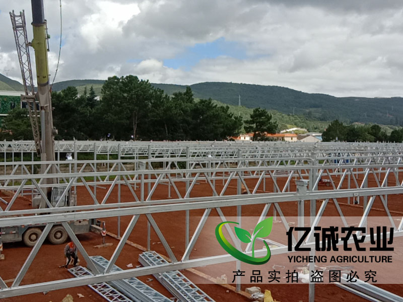 青州玻璃溫室大棚哪家建的比較專業(yè)？性價(jià)比高？