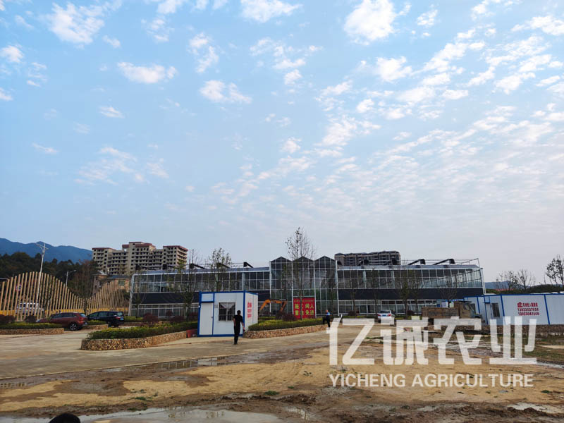現(xiàn)代化連棟溫室大棚建設(shè)有補(bǔ)貼嗎？連溫室大棚造價(jià)多少一畝