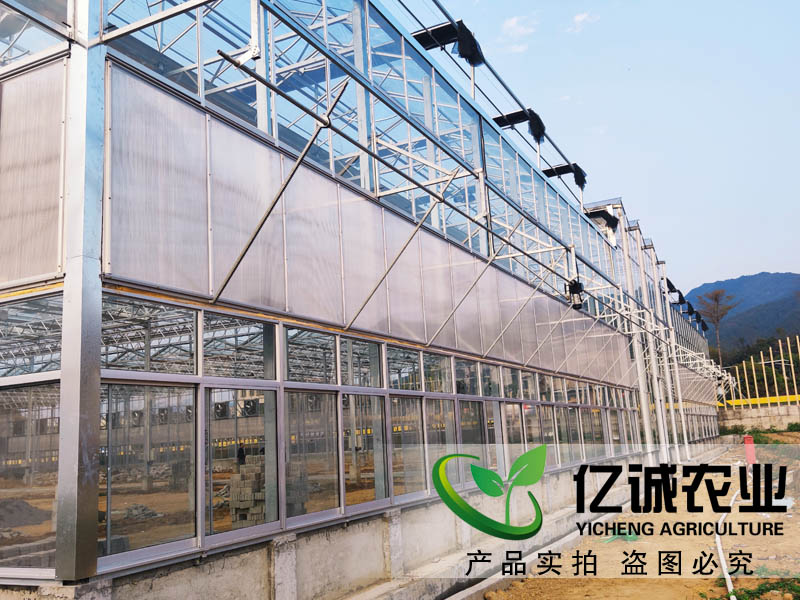 玻璃溫室大棚造價(jià)多少錢一畝？玻璃連棟溫室大棚價(jià)格高不高？