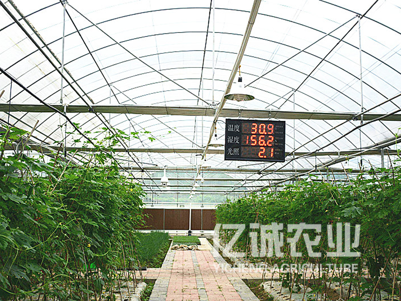 現(xiàn)代化智能溫室大棚建設